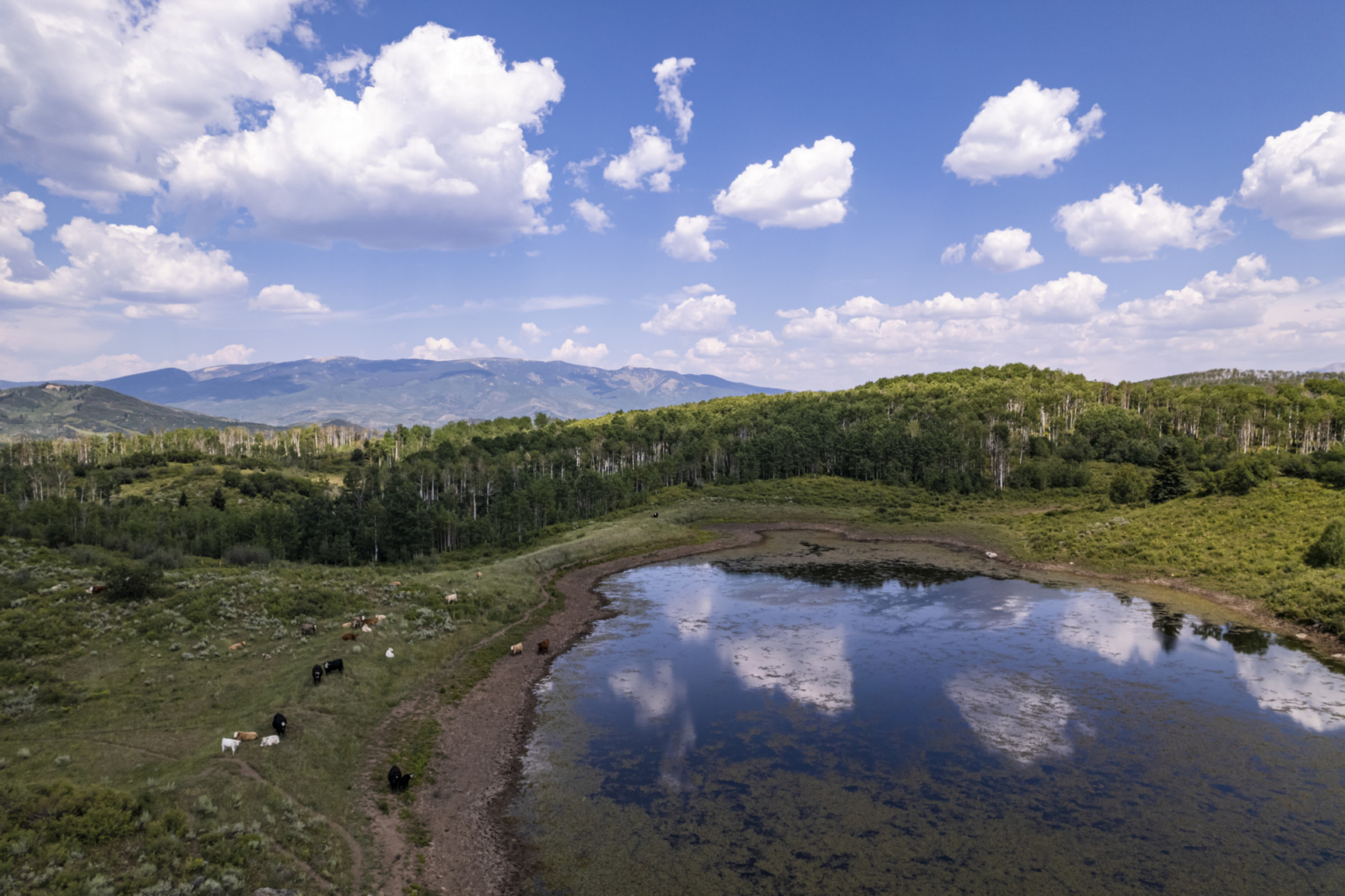 Ragged Mountain Ranch | Somerset Colorado | Fay Ranches