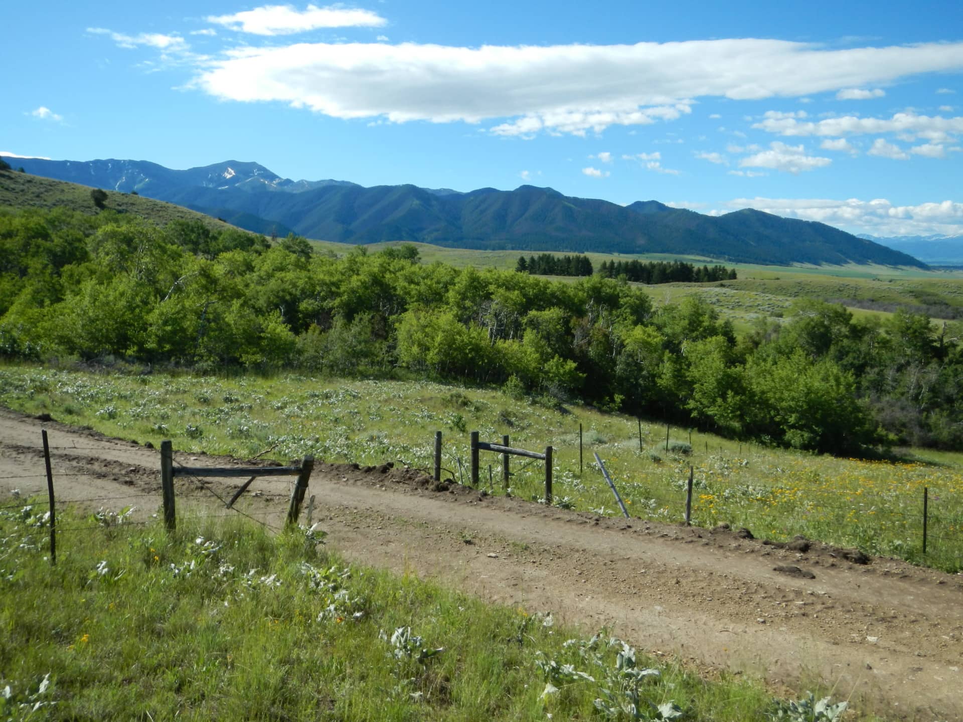 Vacant Land Corbly Mountain Ranch For Sale Bozeman Montana