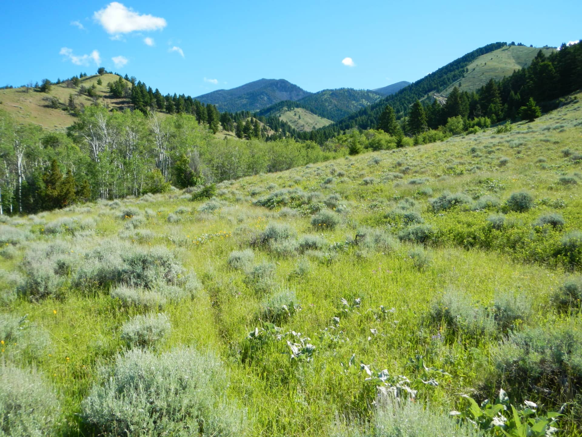 Vacant lots For Sale Bozeman Montana Corbly Mountain Ranch