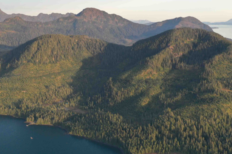 Alaska Properties For Sale Land Wilderness Sporting Pursuits Fay