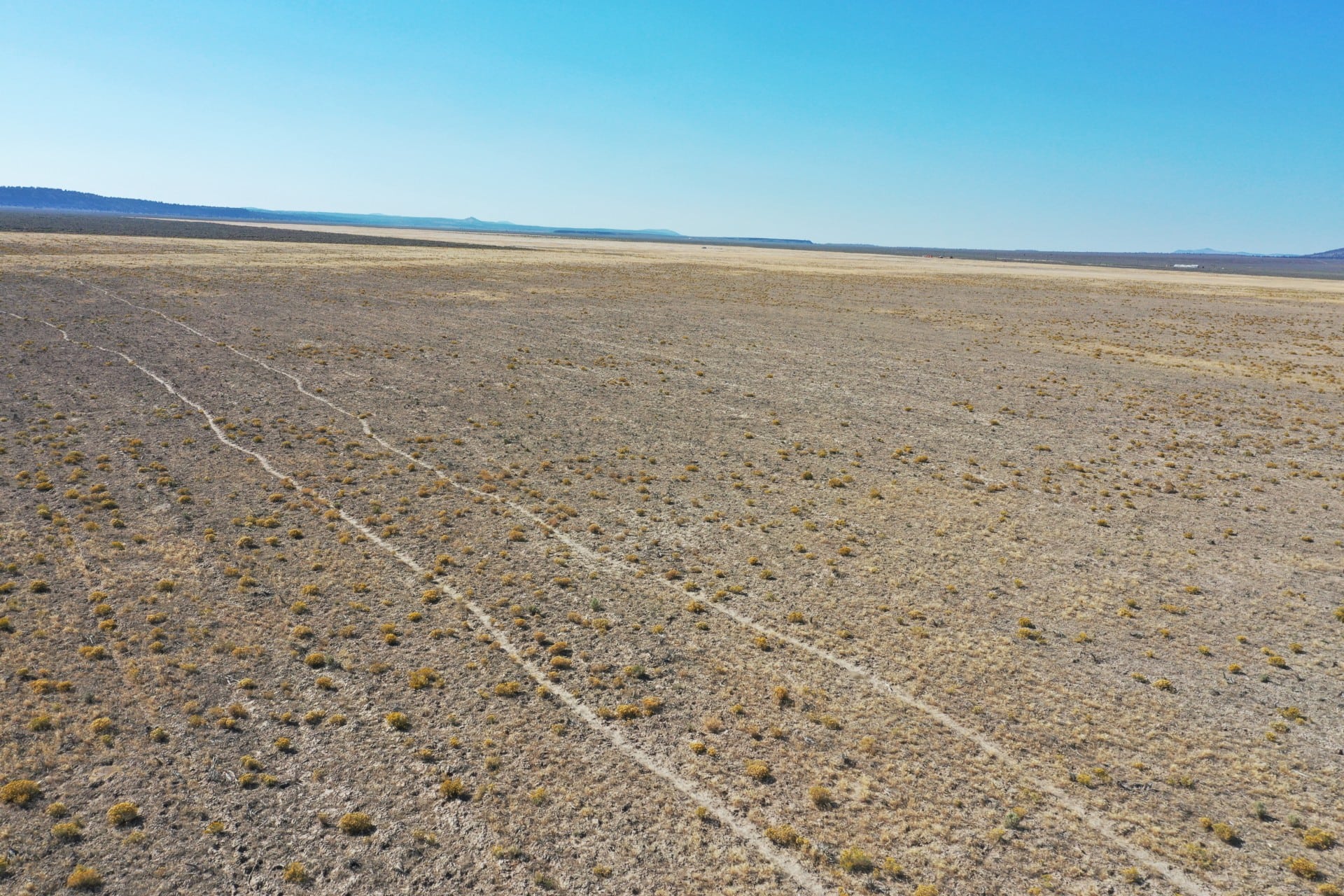 alfalfa potential oregon a diamond in the desert