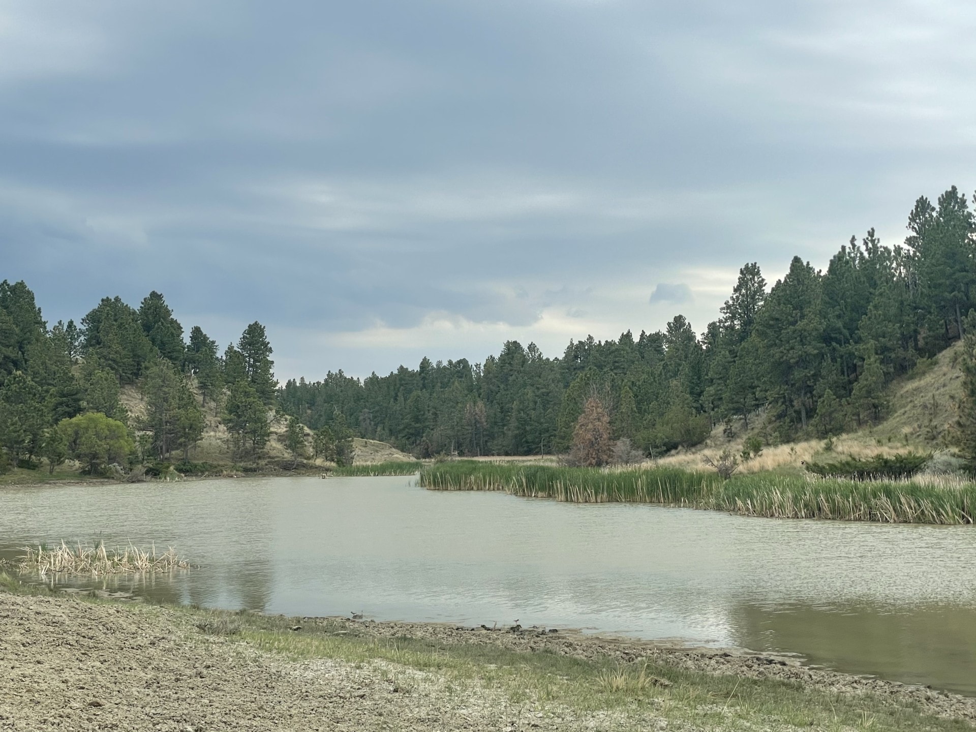 Spring Fed Reservoir montana missouri breaks Snow Creek Ranch