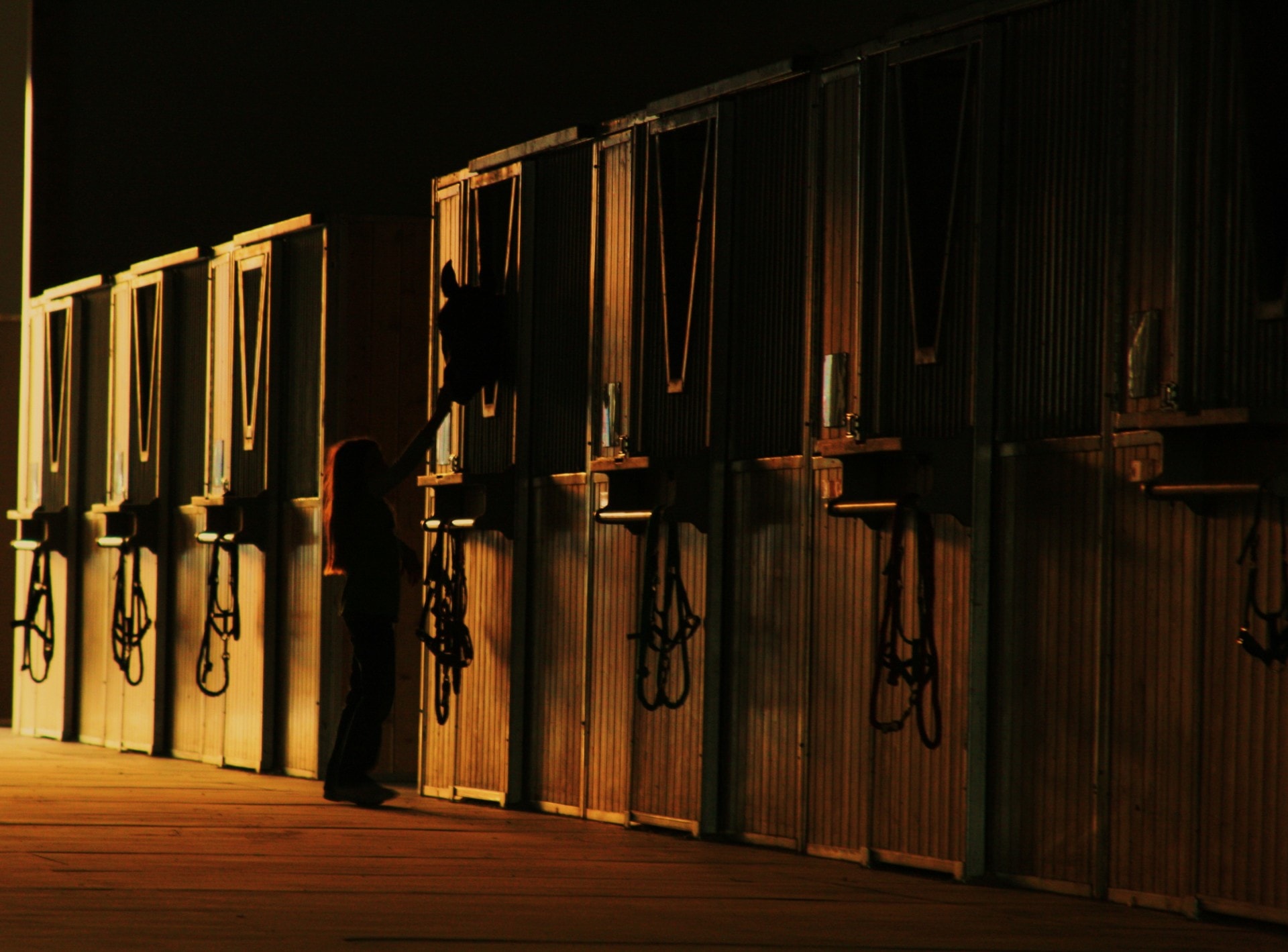 stall rows washington pine creek equestrian center
