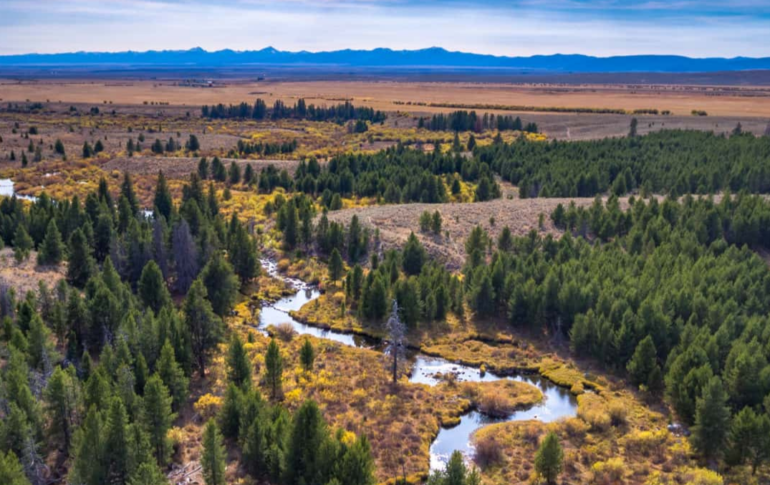 COVID Land Market Update Fay Ranches Land Investor