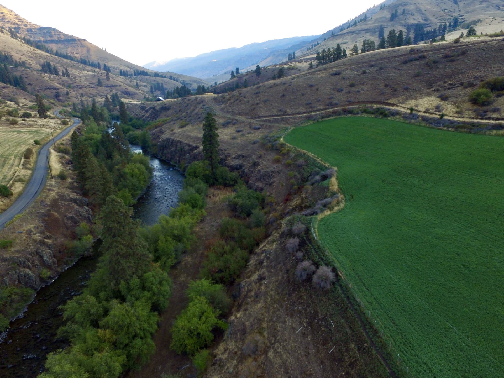 Irrigated hay Oregon Imnaha River Ranch