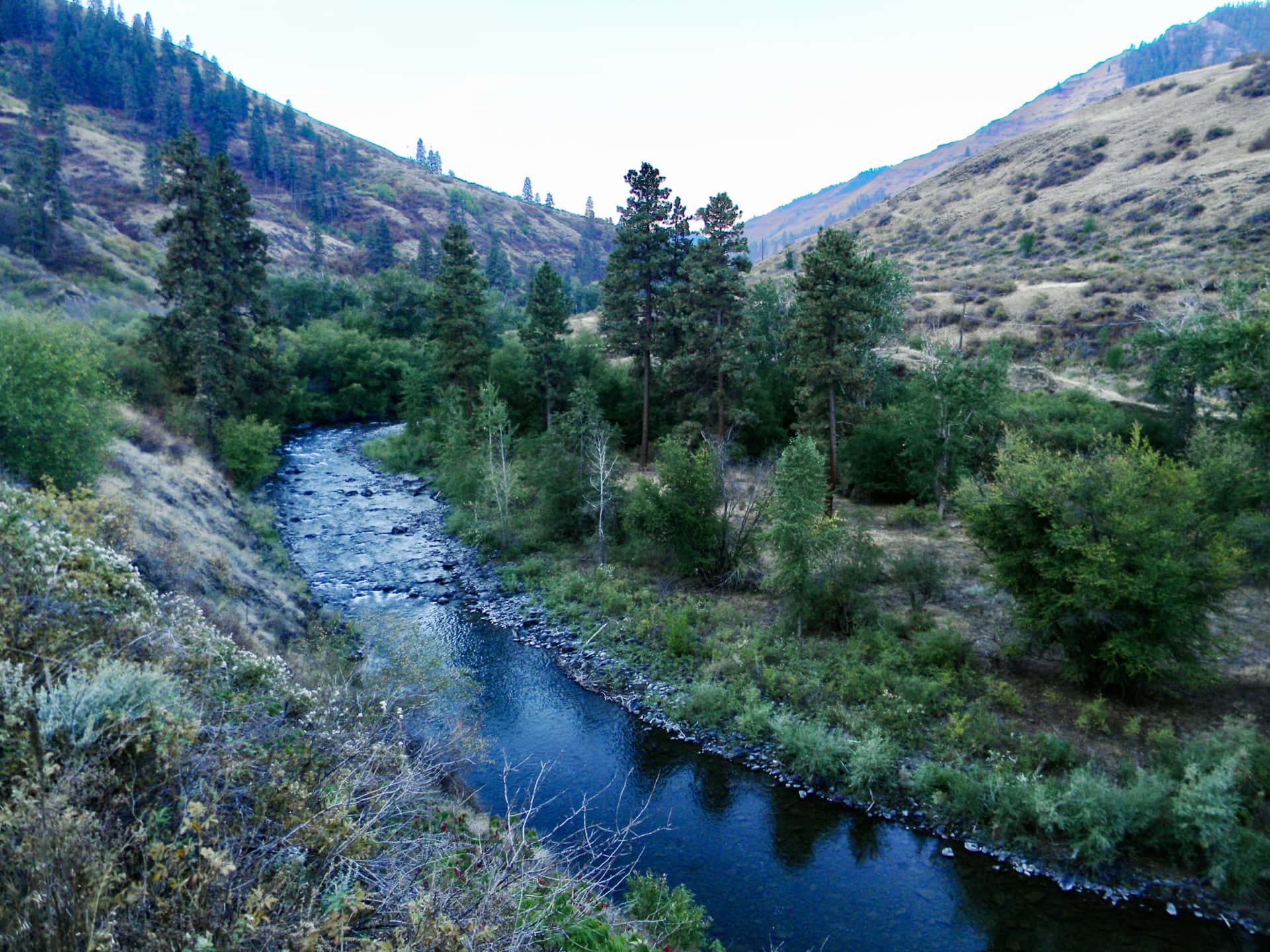 Steelhead waters Oregon Imnaha River Ranch