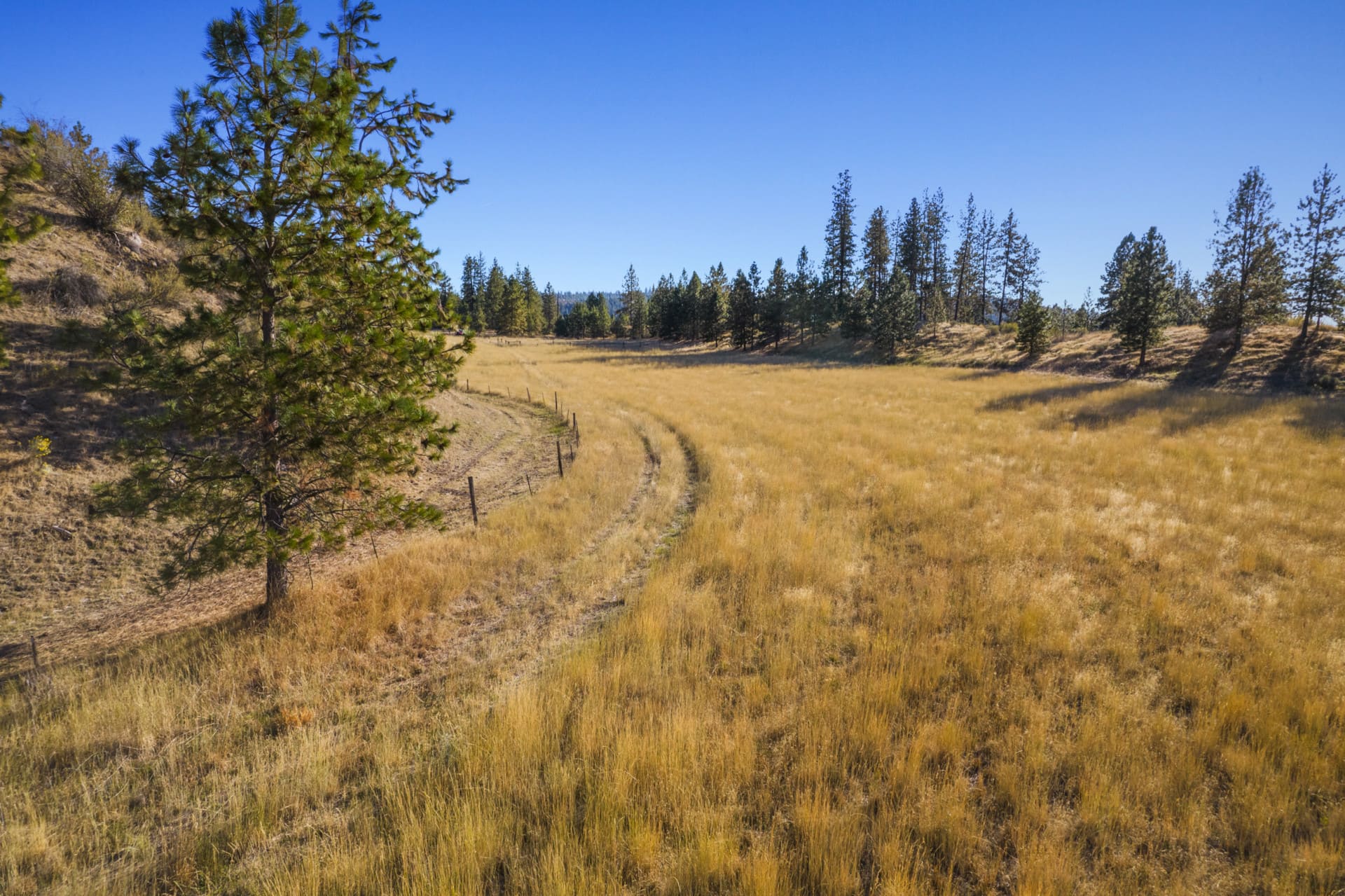 agricultural production land for sale washington lilienthal mountain