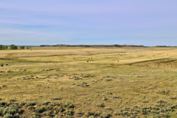 farming land for sale montana t rex ranch