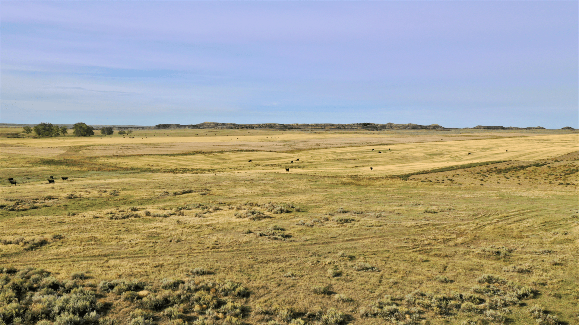 farming land for sale montana t rex ranch Fay Ranches