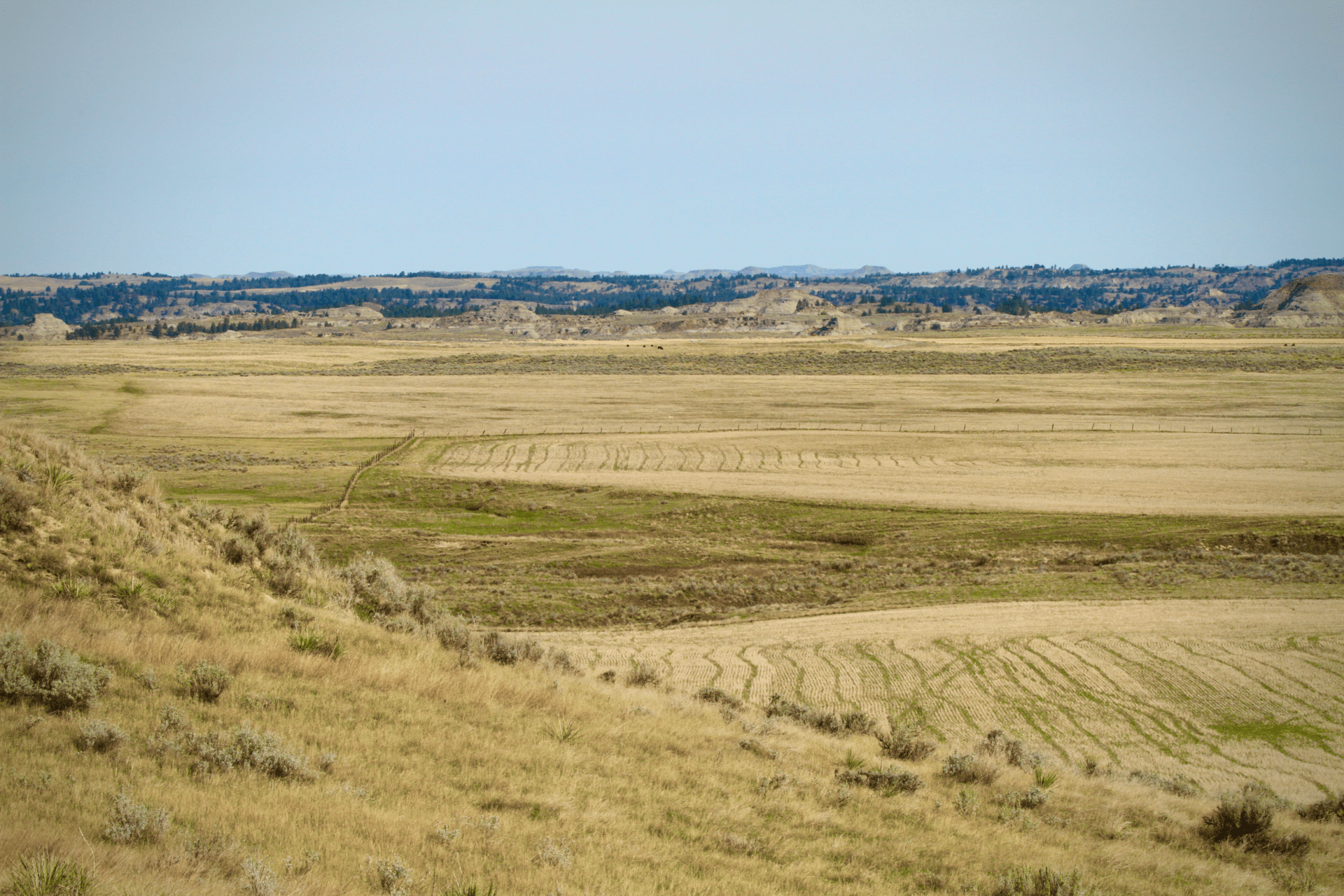 farming montana t rex ranch