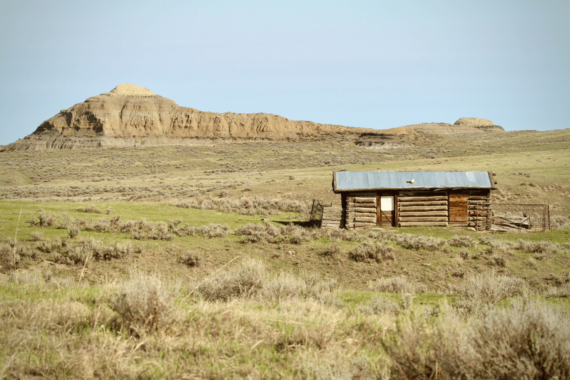 homestead montana t rex ranch