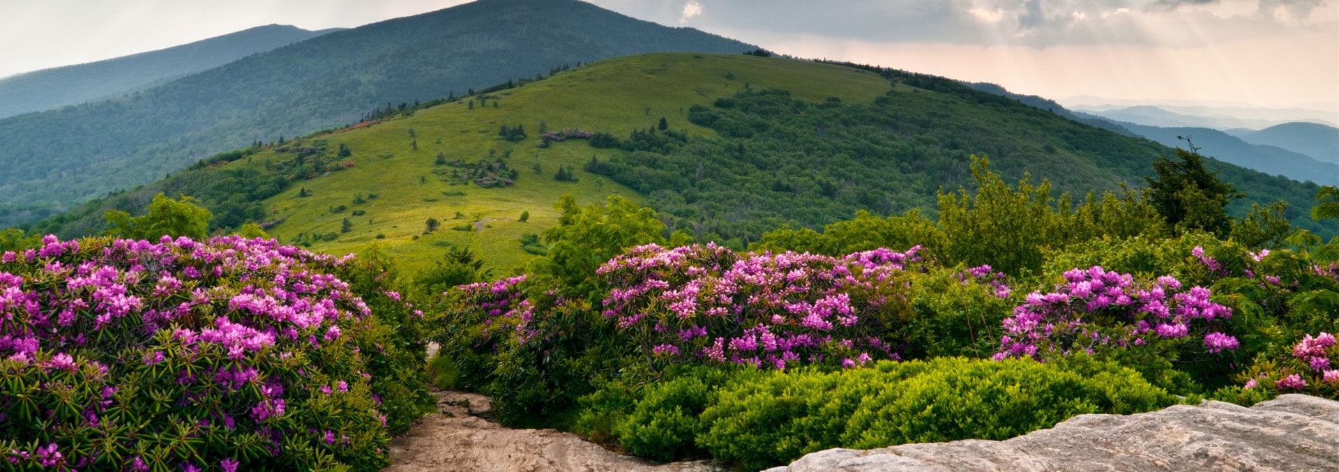 mineral resources southeast