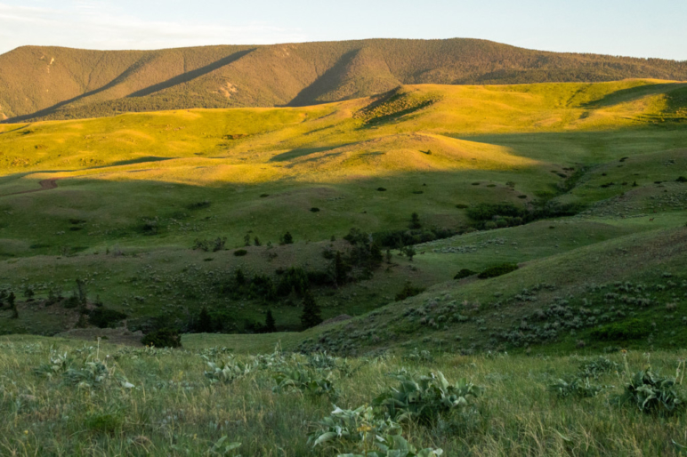 Arrow Ranch Large Big Hole Valley Ranch Fay Ranches