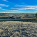 montana property for sale t rex ranch