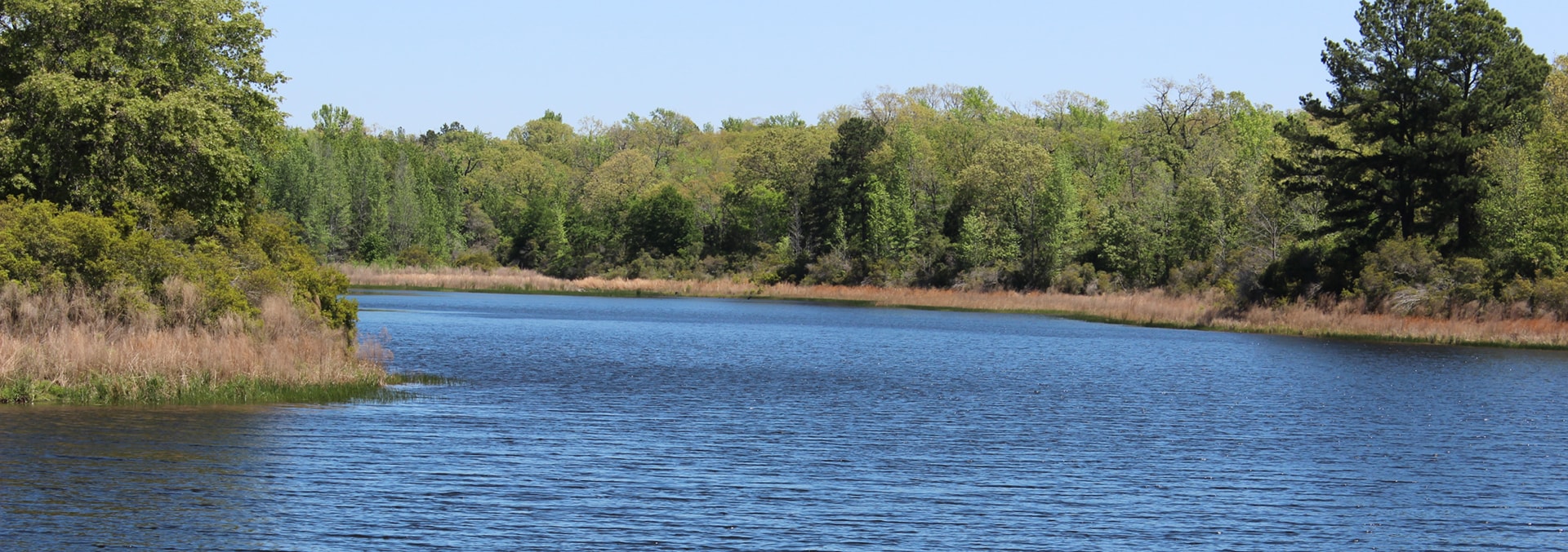 surface waters add value republic ranches land investor