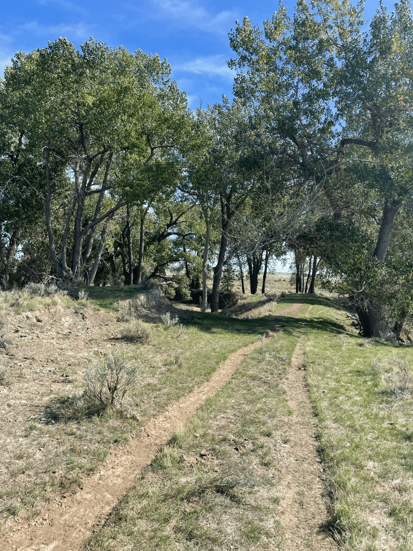 two track trail montana t ranch