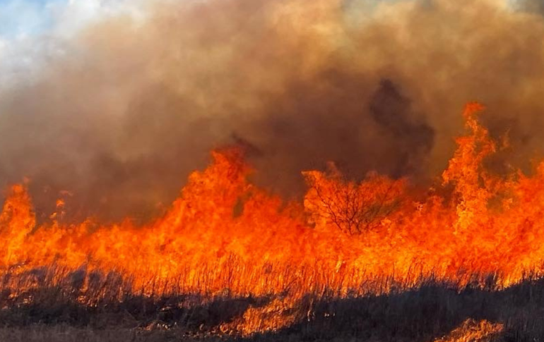 Prescribed Fire A Habitat’s Favorite Medicine fay ranches republic ranches land investors