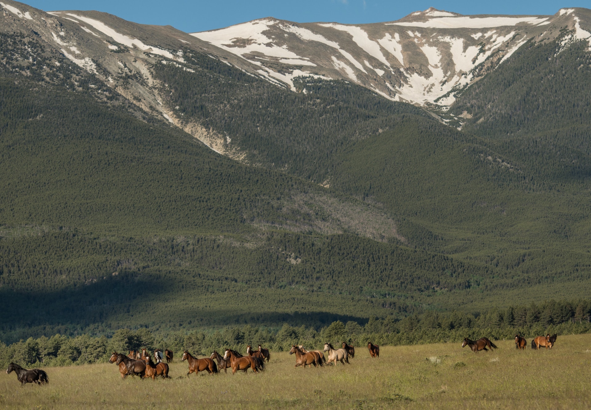 equestrian montana sacred raven ranch
