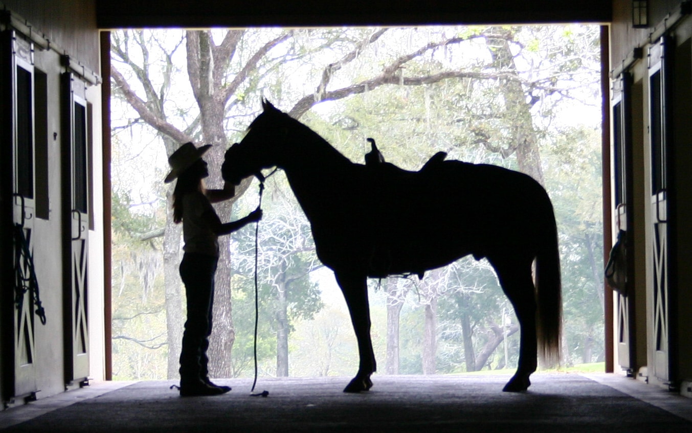 girl and horse silhouette texas dos brisas ranch