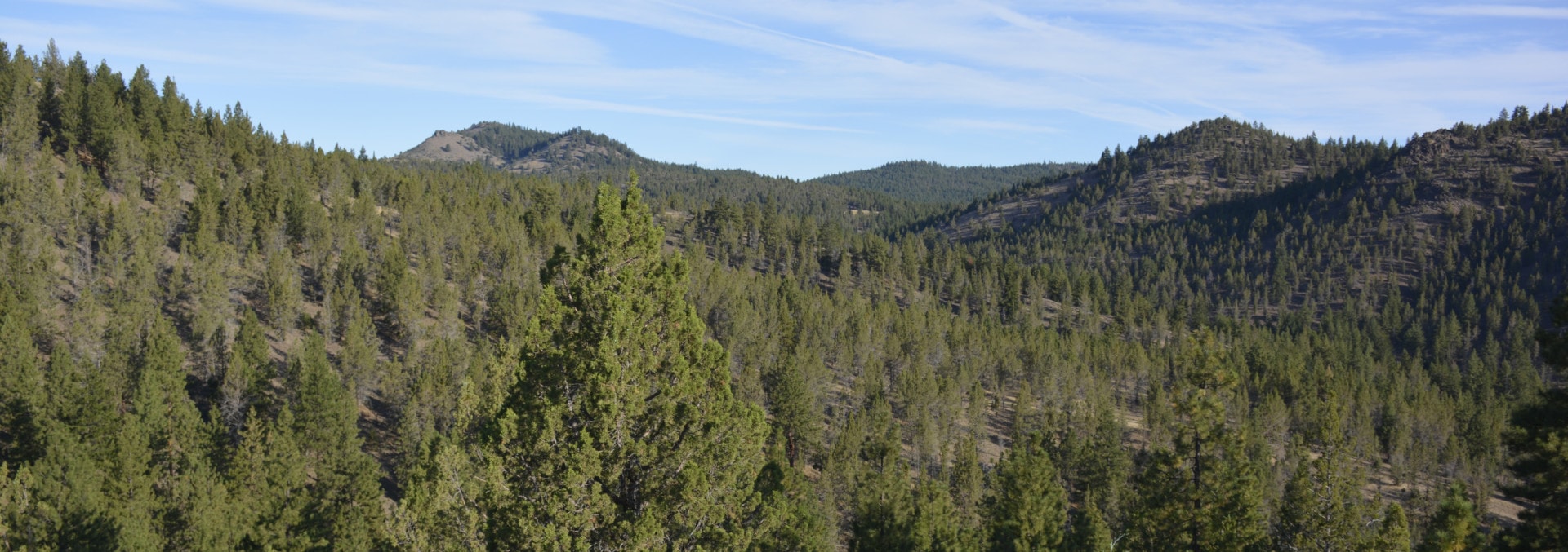 oregon property for sale rail hollow