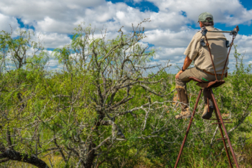 texas property for sale cinco de mayo ranch