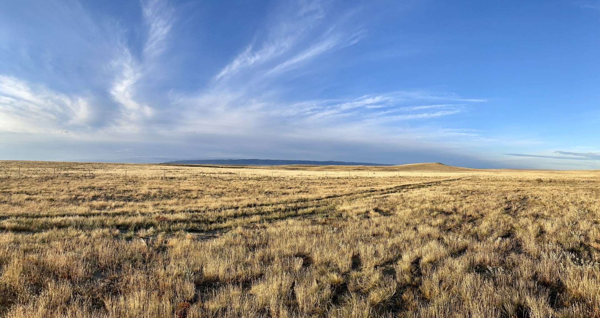 horse pasture grazing land for sale wyoming cactus ranch