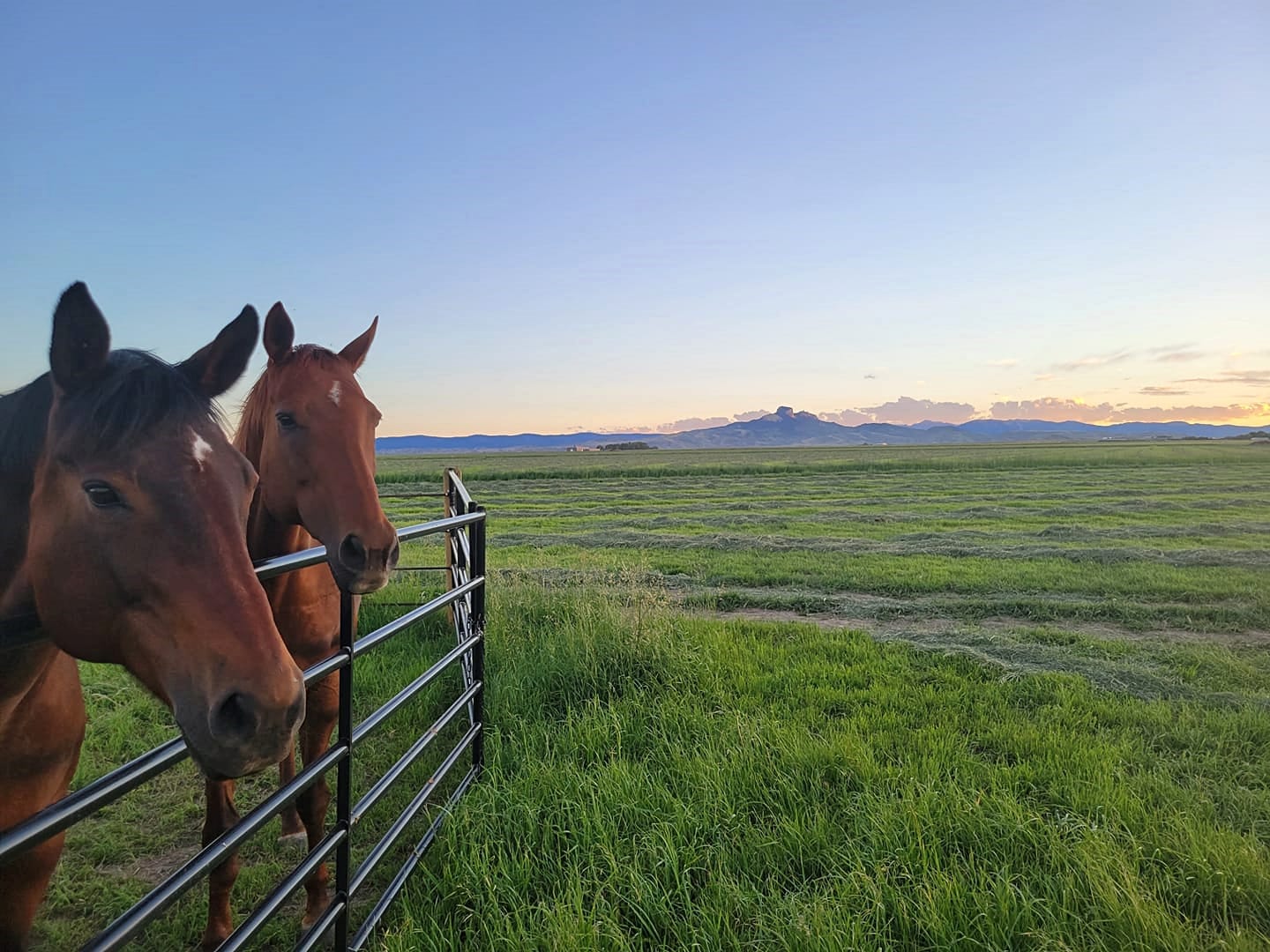 park county horse farm for sale wyoming slash wy ranch