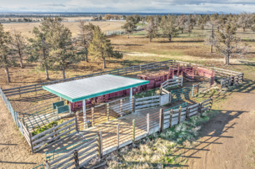 cattle property for sale oregon mountain view ranch