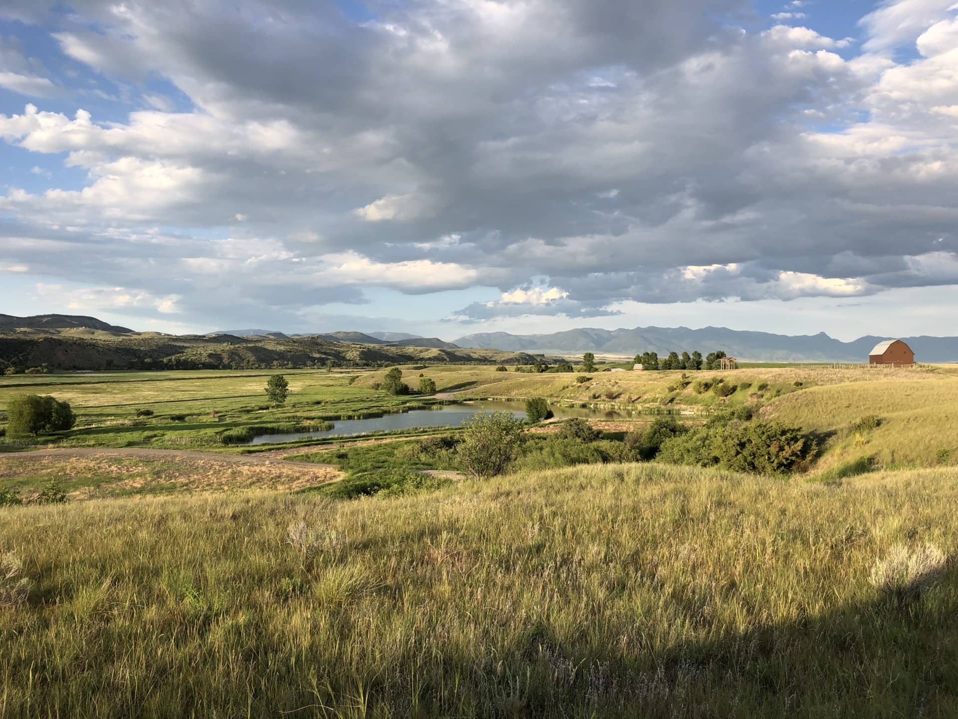 panorama montana f double d ranch
