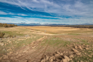 Wide View Field Oregon Dry Canyon Farm