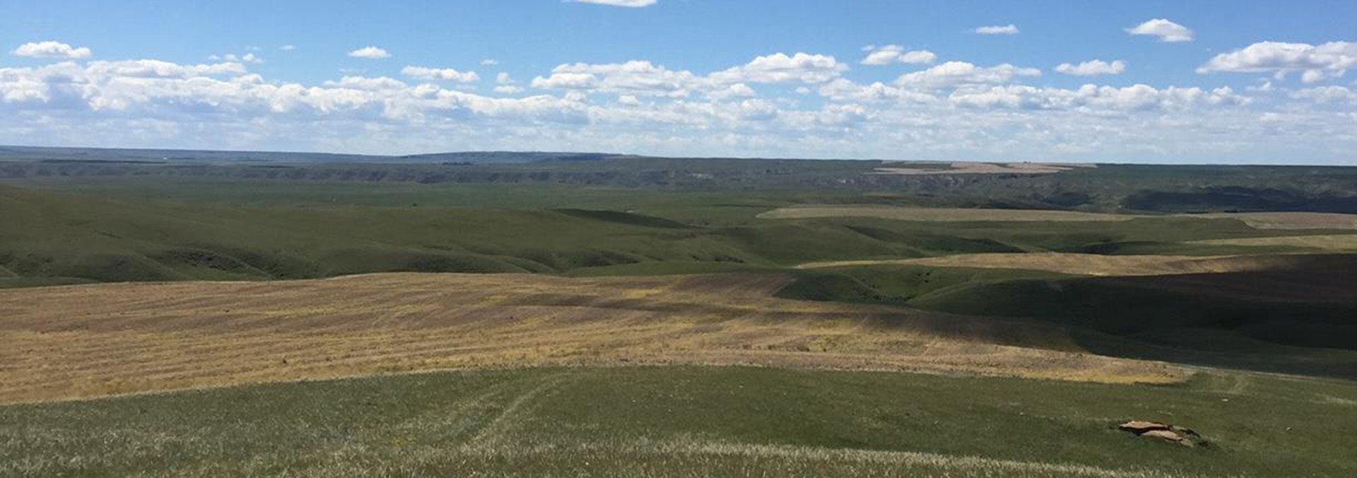 Montana land for sale HJ Quarters Farm no wind