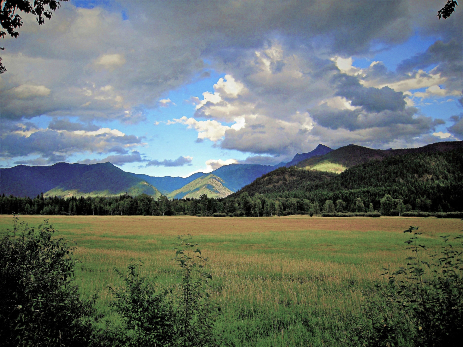 Bull River Paradise Noxon Montana Fay Ranches