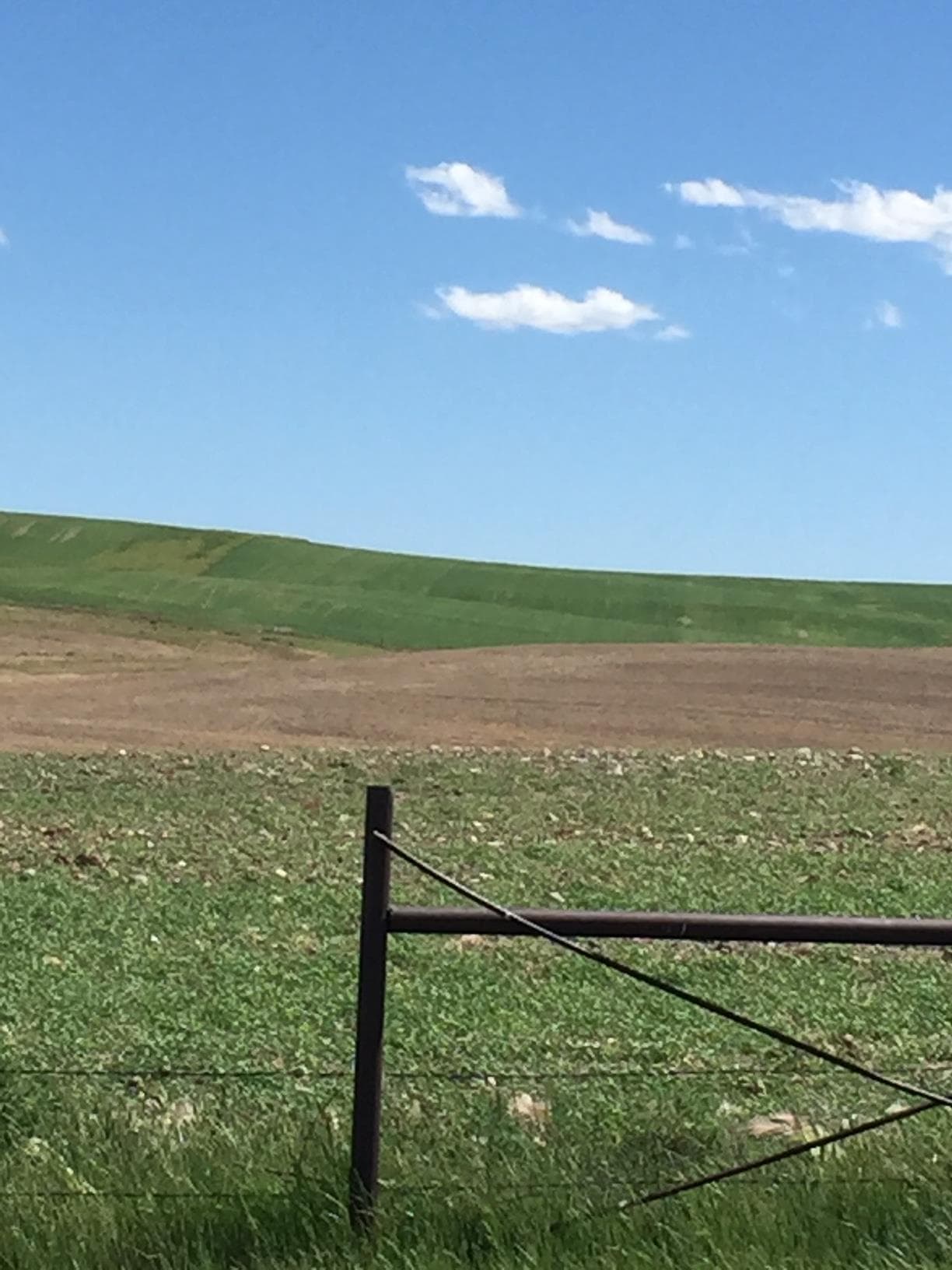 Summer Plowed Field Montana HJ Quarters Farm
