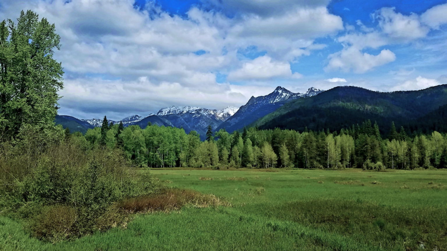 Bull River Paradise Noxon Montana Fay Ranches
