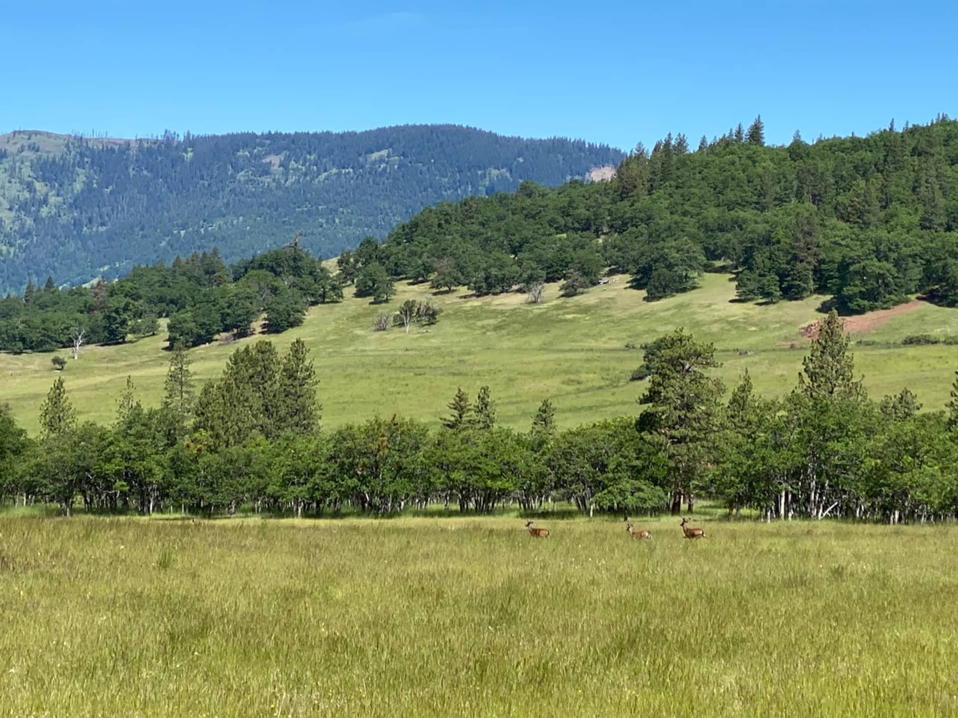 big game hunting property for sale oregon the legend of cove creek