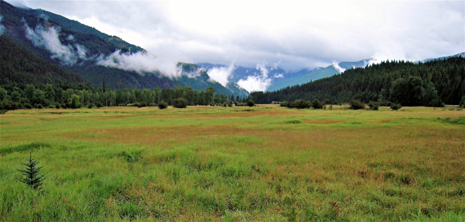 Bull River Paradise Noxon Montana Fay Ranches