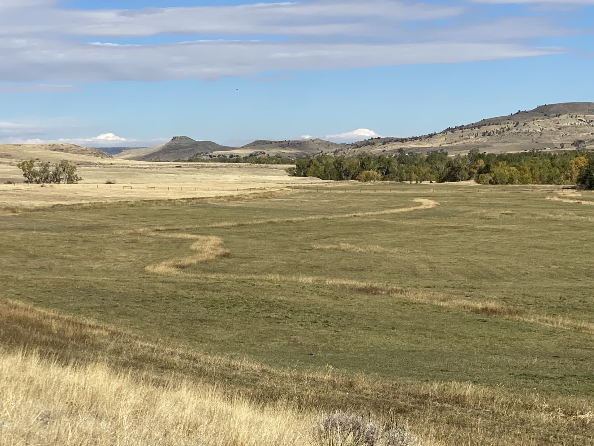 hay field montana two bear ranch