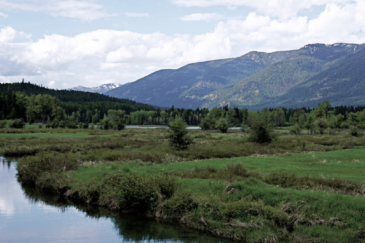 montana ranch property for sale Bull River Paradise