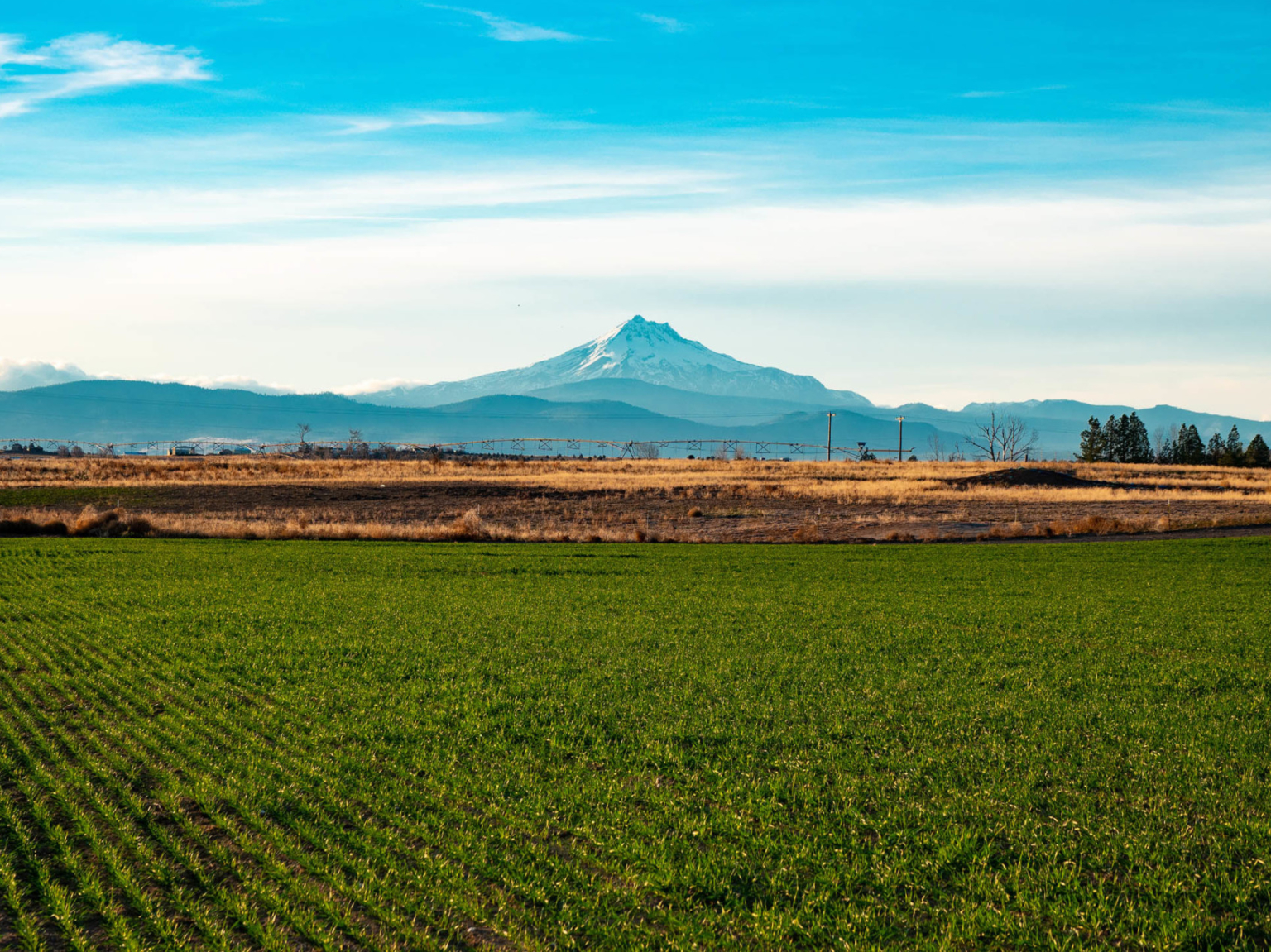 Cascade Mountain View Farm Madras Oregon Fay Ranches
