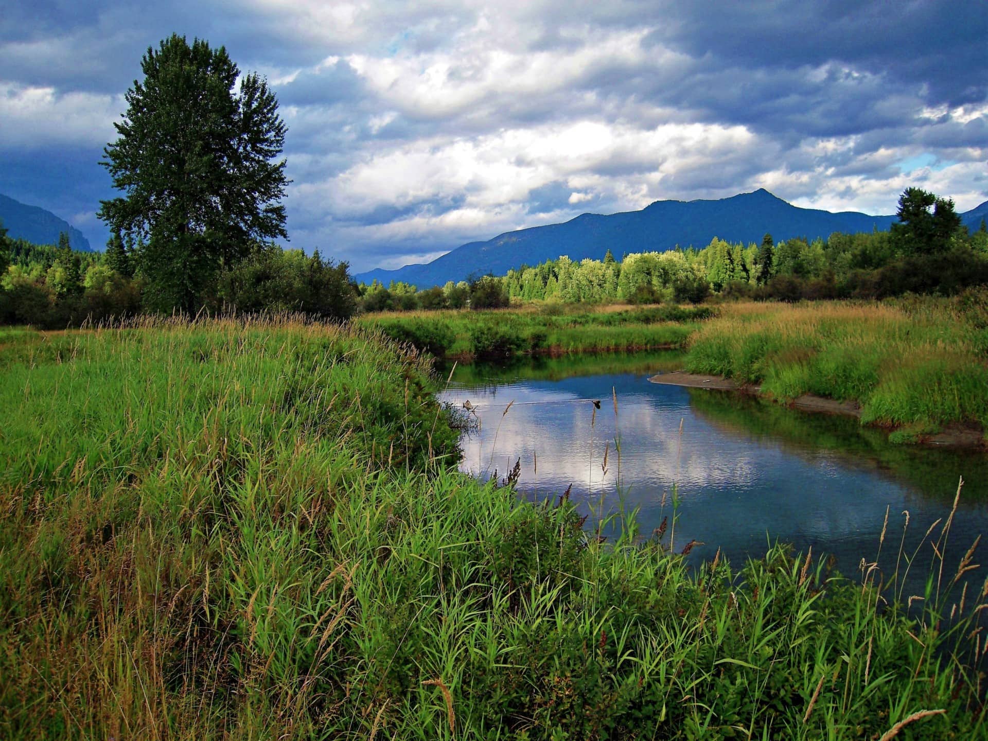 waterfowl-property-for-sale-montana-bull-river-paradise-fay-ranches