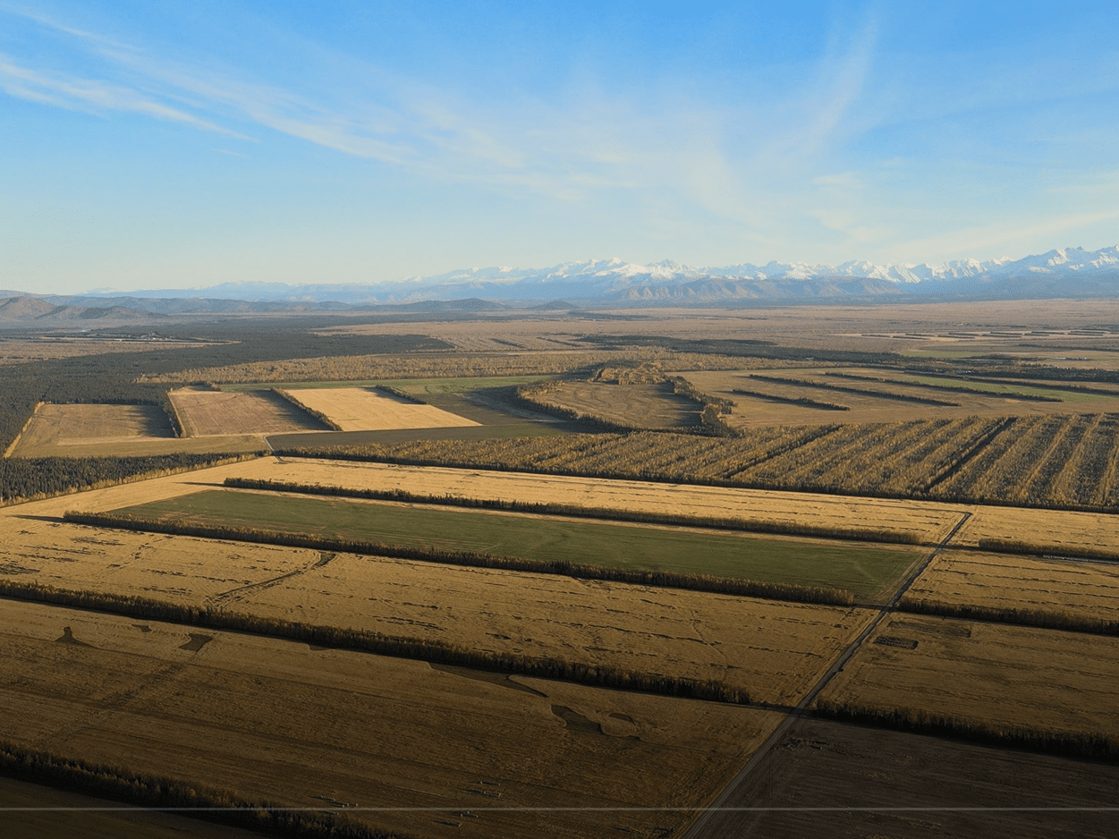 Aerial of wheat fields alaska schultz farms