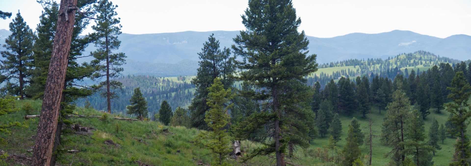 Montana ranch for sale Rattlesnake Creek Ranch