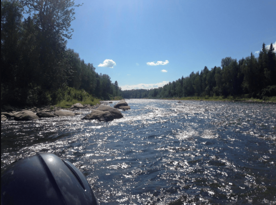Sunny river alaska mcdougall lodge llc