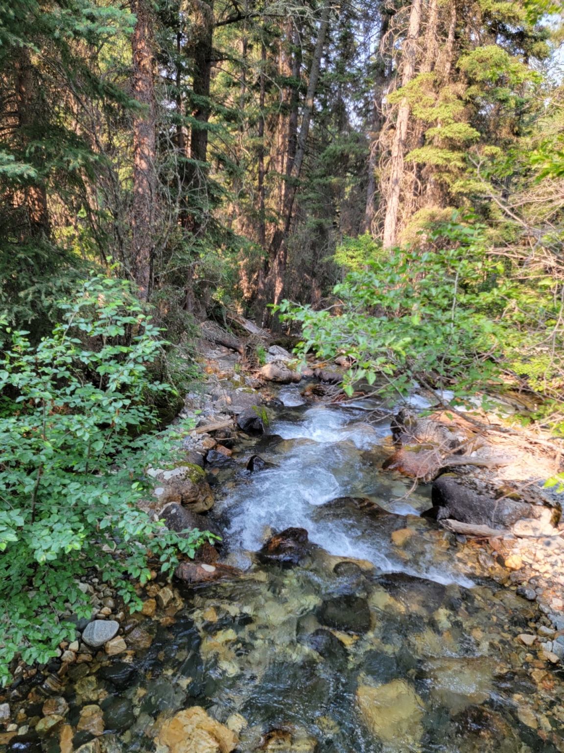 Deep Creek Ranch | Paradise Valley Montana | Fay Ranches