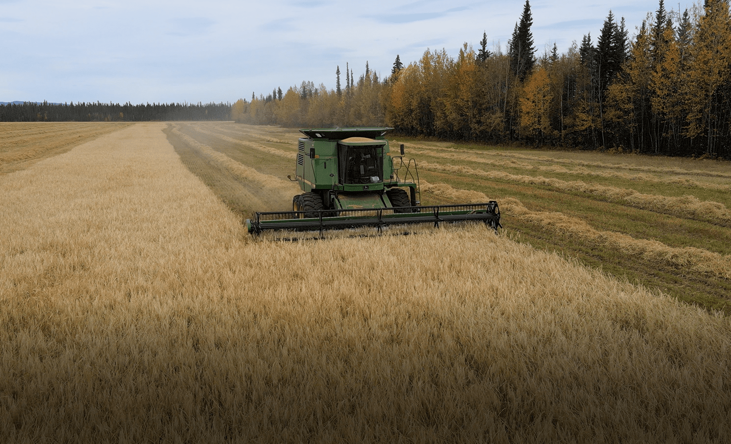 Cutting fields alaska schultz farms