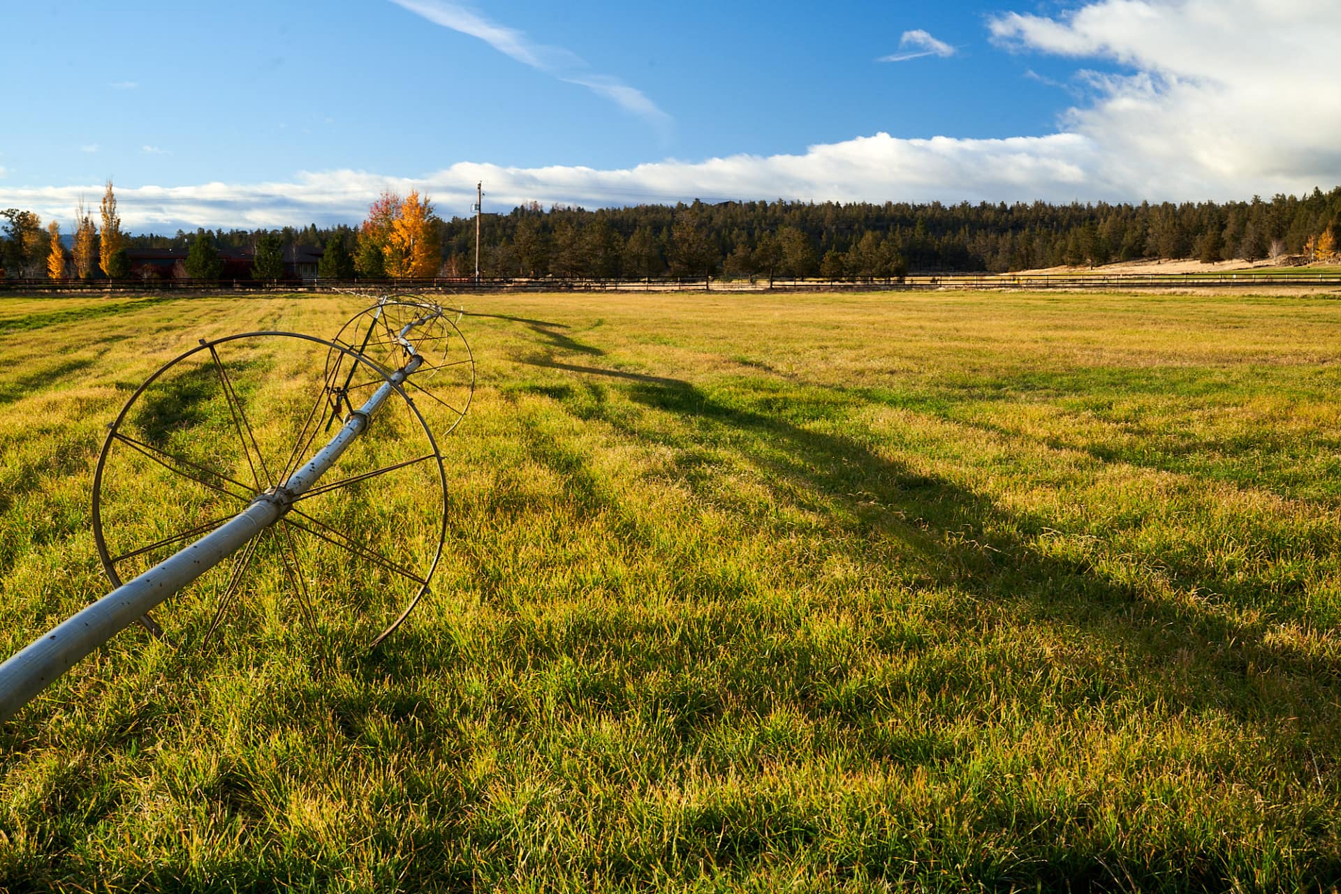 farms for sale oregon tumalo family farm Fay Ranches