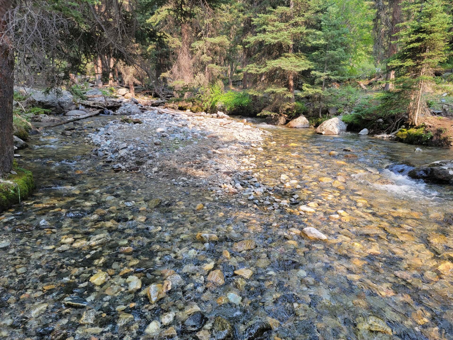 fish in montana deep creek ranch