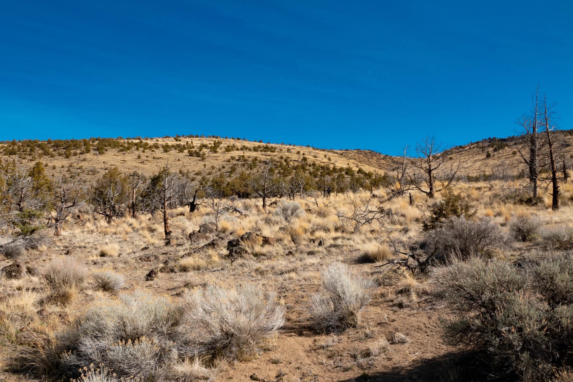 higher elevation oregon millican desert ranch