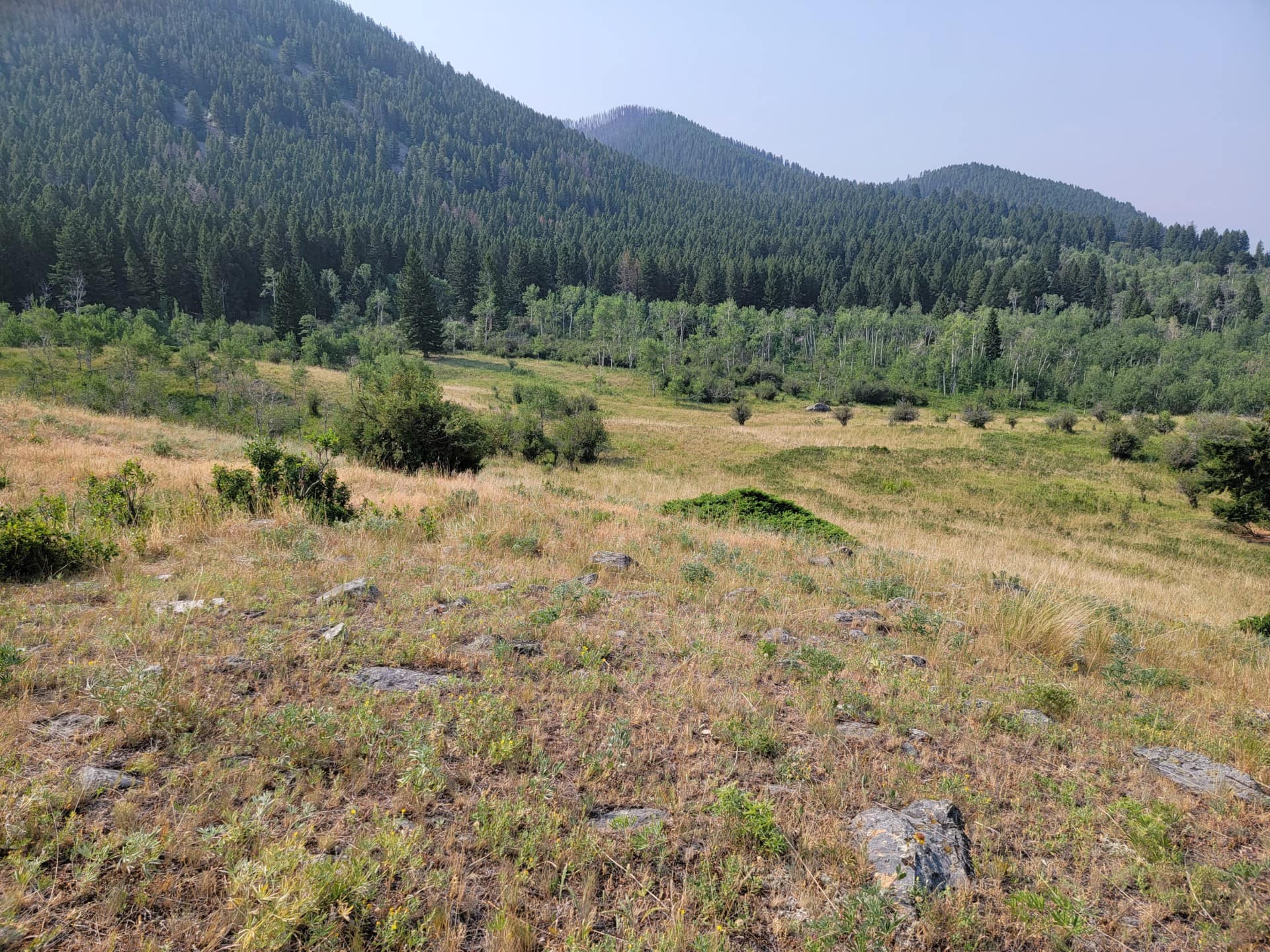 hunting land for sale montana deep creek ranch