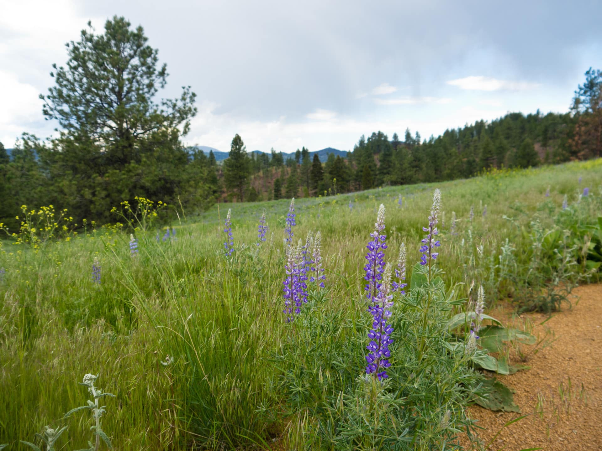 land only for sale Montana Rattlesnake Creek Ranch Fay Ranches